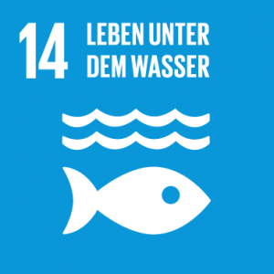 SDG 14 - Meeresschutz