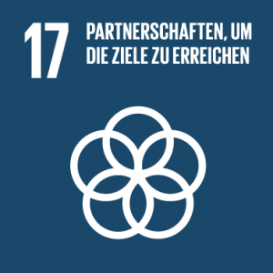 SDG 17 - Globale Partnerschaft